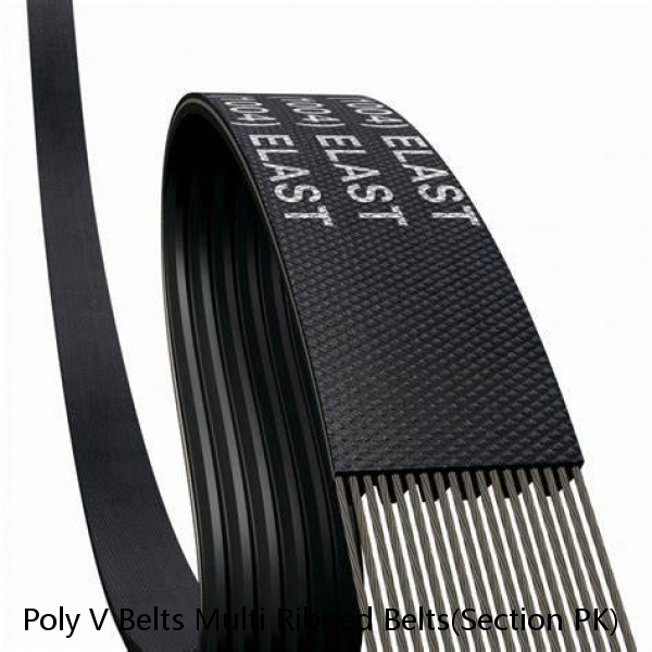 Poly V Belts Multi Ribbed Belts(Section PK)