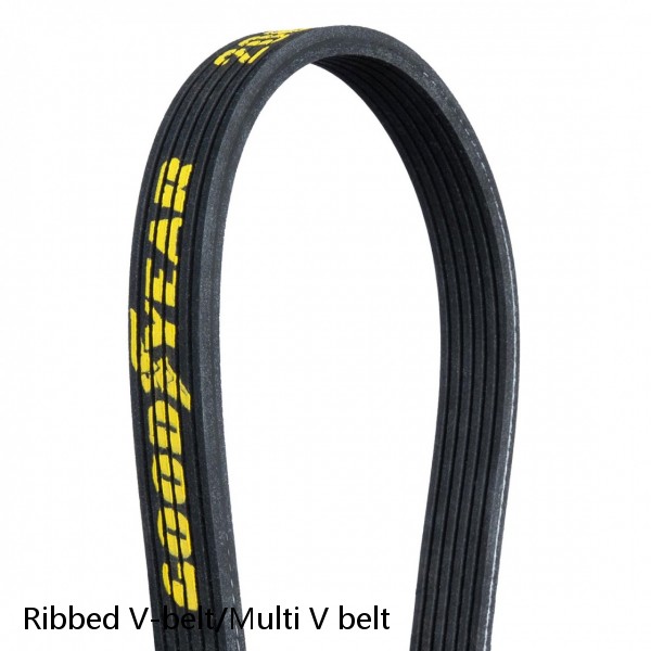 Ribbed V-belt/Multi V belt