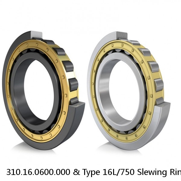 310.16.0600.000 & Type 16L/750 Slewing Ring #1 small image