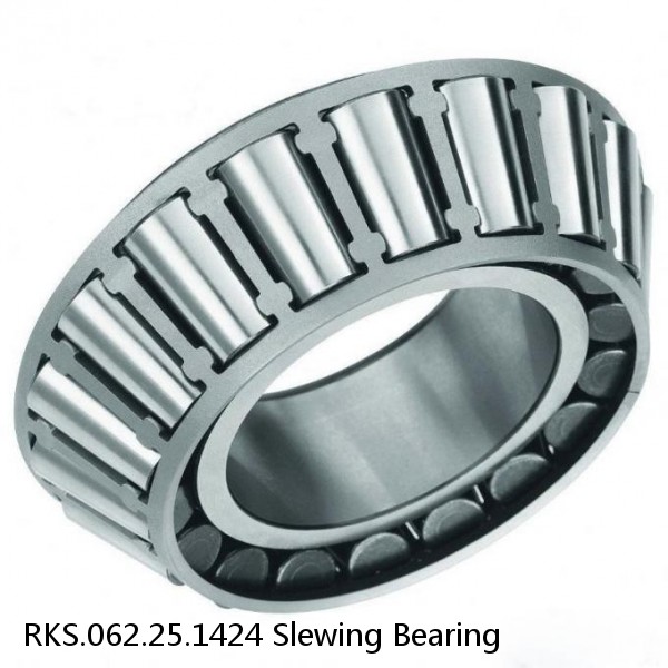 RKS.062.25.1424 Slewing Bearing #1 small image