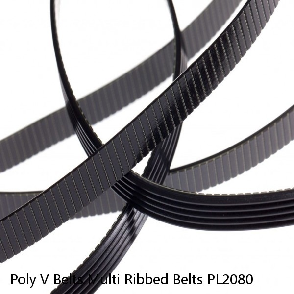 Poly V Belts Multi Ribbed Belts PL2080