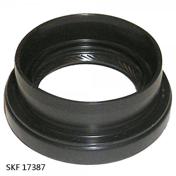 17387 SKF DOUBLE LIP OIL SEAL SKF #1 image