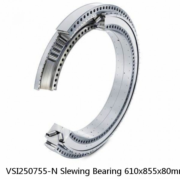 VSI250755-N Slewing Bearing 610x855x80mm #1 image