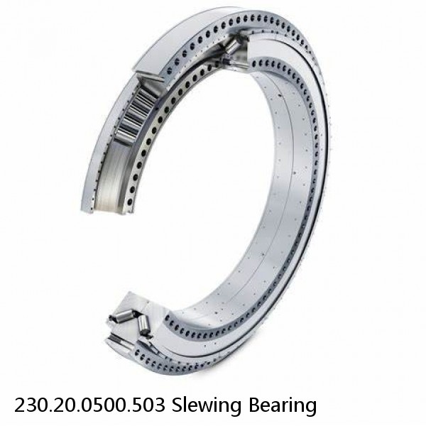 230.20.0500.503 Slewing Bearing #1 image