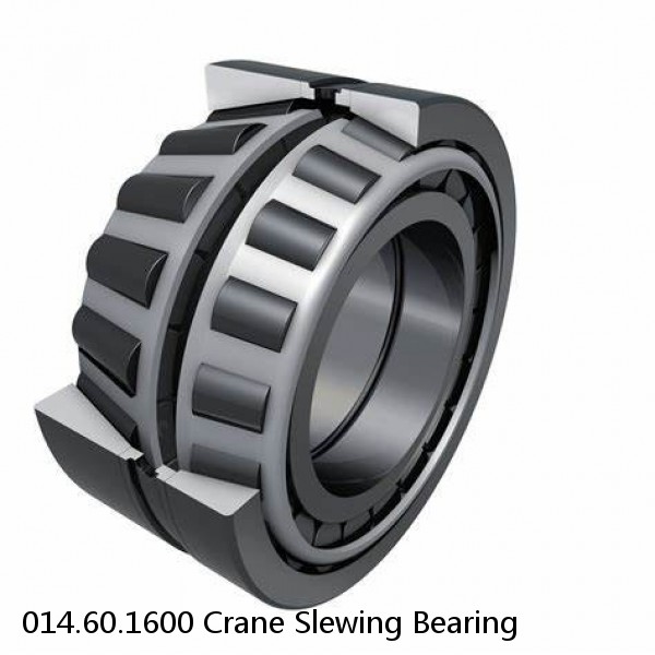 014.60.1600 Crane Slewing Bearing #1 image