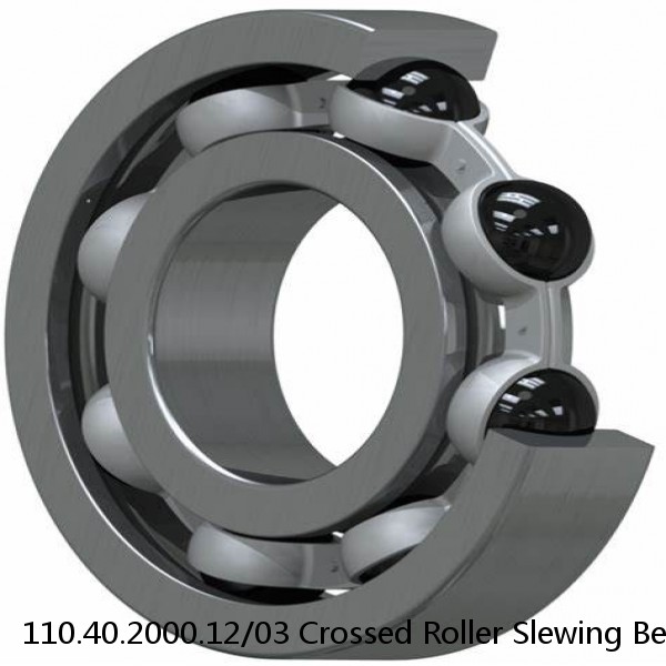 110.40.2000.12/03 Crossed Roller Slewing Bearing #1 image