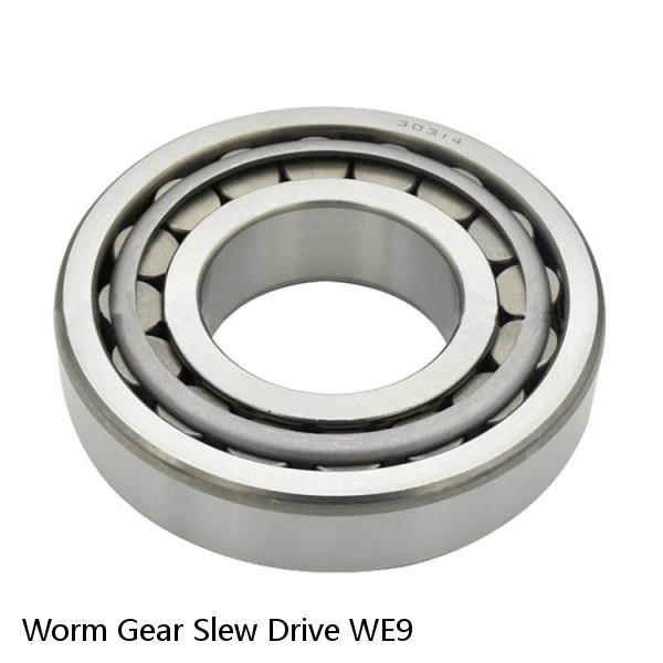 Worm Gear Slew Drive WE9 #1 image