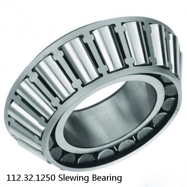 112.32.1250 Slewing Bearing #1 image