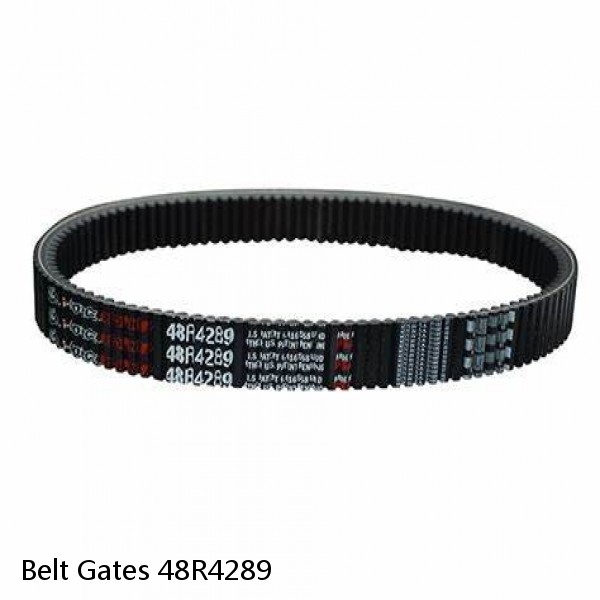Belt Gates 48R4289 #1 image
