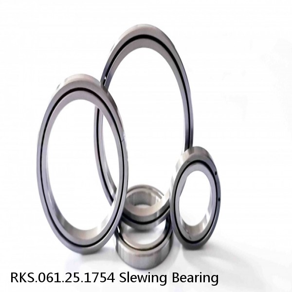 RKS.061.25.1754 Slewing Bearing #1 image