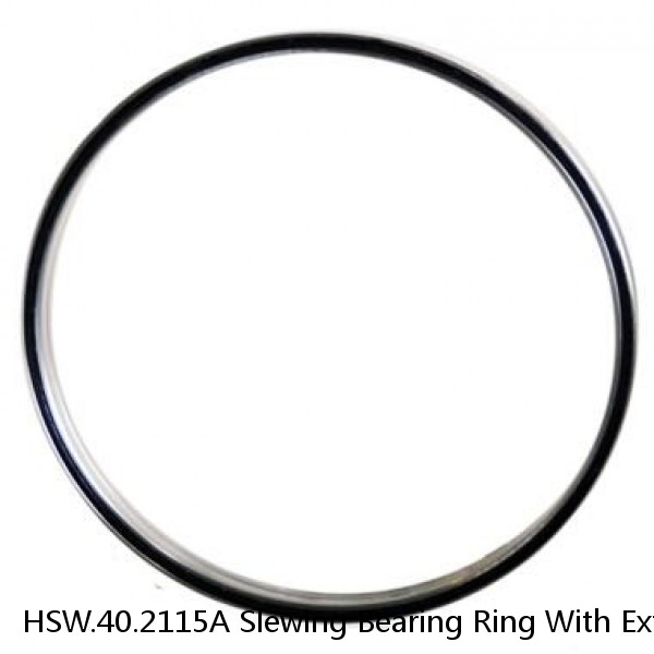 HSW.40.2115A Slewing Bearing Ring With External Gear #1 image